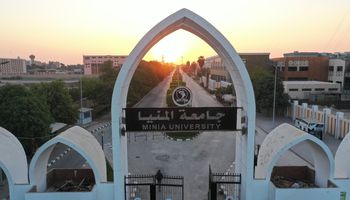 جامعة المنيا 