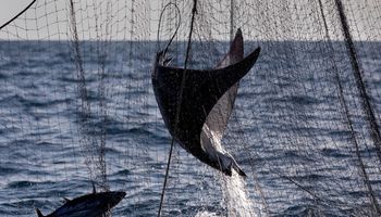 الصيد غير القانوني في المحيط الهندي