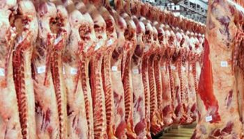 أزمة أسعار اللحوم 