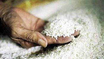 أسعار الأرز اليوم   