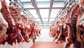 أسعار اللحوم المستوردة والبلدي قبل العيد 