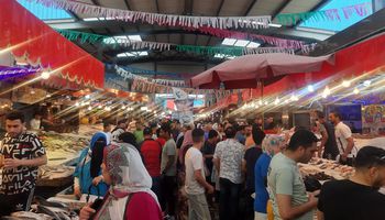 إقبال كثيف من أبناء المحافظات الأخرى على سوق الأسماك الحضاري ببورسعيد 
