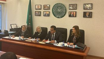 المكتب التنفيذي لمجلس وزراء الصحة العرب