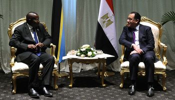 رئيس الوزراء يلتقى نائب رئيسة تنزانيا