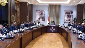 رئيس الوزراء يلتقي عددا من المصريين بالخارج بهدف تأسيس شركة " المصريين في الخارج للاستثمار"
