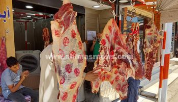أسعار اللحوم الحمراء البلدي في الفيوم 