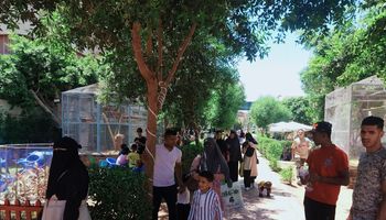 حديقة الحيوان بمحافظة الفيوم 