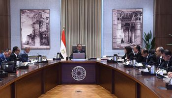 رئيس الوزراء يتابع جهود تطوير المنطقة المحيطة بالمتحف المصري الكبير