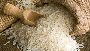 أسعار الأرز اليوم 