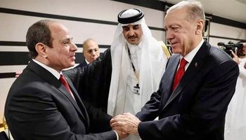 الرئيس السيسي ورئيس تركيا