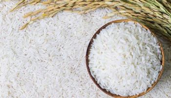 تداول الأرز