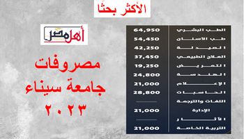 مصروفات جامعة سيناء 2023 