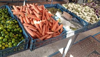 أسعار الخضروات والفواكه بأسواق الفيوم 