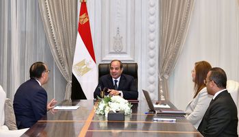 الرئيس السيسي يتابع نشاط صندوق مصر السيادى
