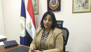 غادة شلبي نائب وزير السياحة والآثار لشئون السياحة 