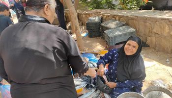 أسعار الأسماك بأسواق محافظة الفيوم 