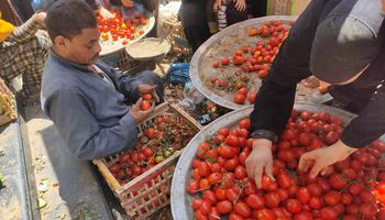 اسعار الخضروات والفاكهة بأسواق الفيوم 