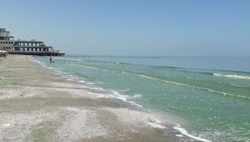 تفسير ظاهرة الخضراء مياه شاطىء بورسعيد