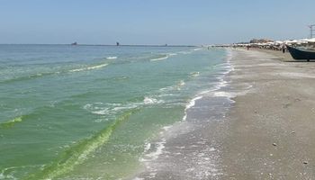 "علوم بورسعيد" تكشف أسباب اللون الأخضر بمياه البحر  