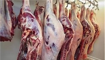 اسعار اللحوم 