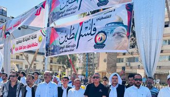 الشعب المصري ينتفض لدعم القضية الفلسطينية