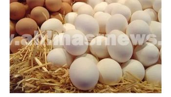 أسعار البيض اليوم بالفيوم