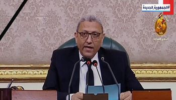 احمد سعد الدين وكيل مجلس النواب