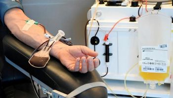 التبرع بالدم 