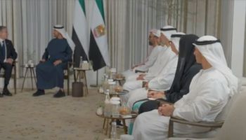 رئيس الإمارات يلتقي وزير الخارجية الأمريكي