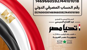 الحملة الانتخابية للمرشح الرئاسي عبد الفتاح السيسي 
