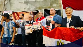 فعاليات المصريين بالخارج لدعم السيسي