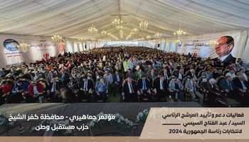 مؤتمرات دعم المرشح الرئاسي السيسي