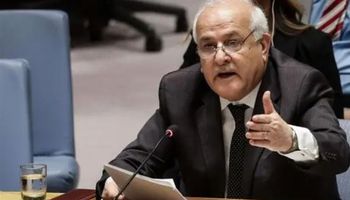  رياض منصور، المندوب الفلسطيني لدى الأمم المتحدة