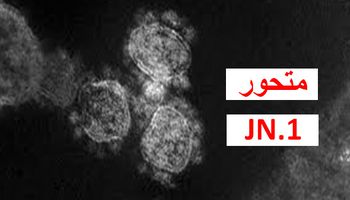 متحور JN.1 جي إن 1