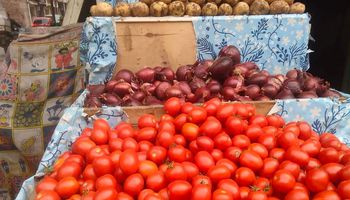 اسعار الخضروات والفاكهة في أسواق الفيوم 