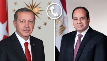  السيسي وأردوغان