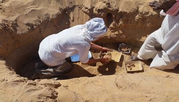 البعثة الإيطالية البولندية تكشف عن أقدم حالة التهاب المفاصل الروماتويدي في مصر القديمة