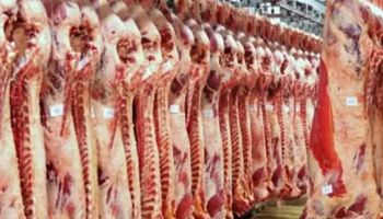 أسعار اللحوم في أهلا رمضان 