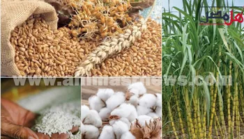 ارتفاع أسعار الاسمدة 