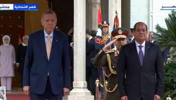 السيسي وأردوغان