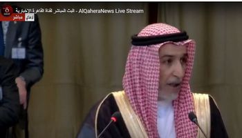 ممثل السعودية أمام محكمة العدل الدولية