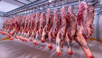 اسعار اللحوم اليوم الاربعاء 