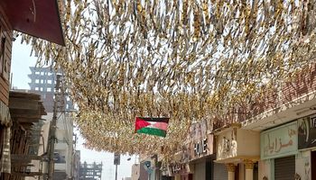علم فلسطين يزين شوارع أسيوط 