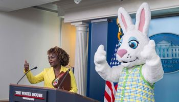 أرنب ضخم يقتحم مؤتمرًا صحفيًا في البيت الأبيض