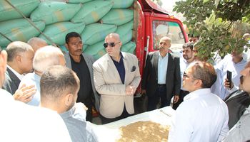 زيارة محافظ بنى سويف لصوامع بوهلر لتخزين القمح