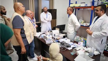 البعثة الطبية المصرية 