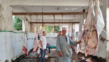 ذبح الأضاحي 
