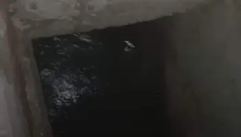 ارشيفية