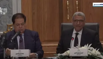أحمد سعد الدين وكيل مجلس النواب