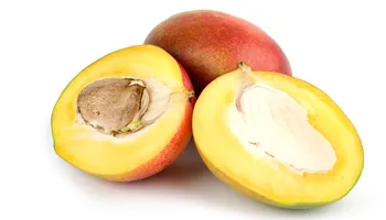 المانجو
